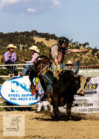 Goulburn 320