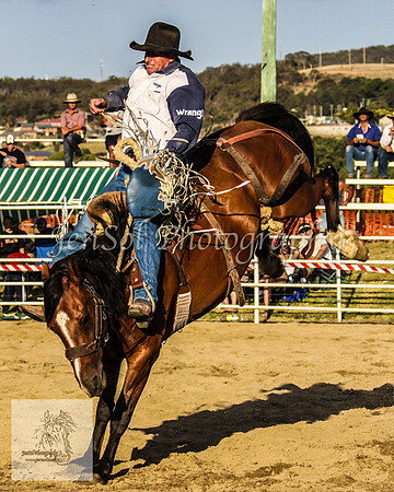 Goulburn 495
