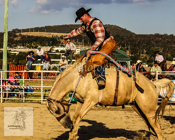 Goulburn 542