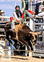 Goulburn 371