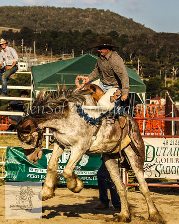 Goulburn 503