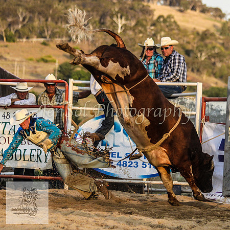 Goulburn 658