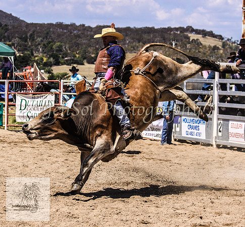Goulburn 177