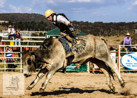 Goulburn 346