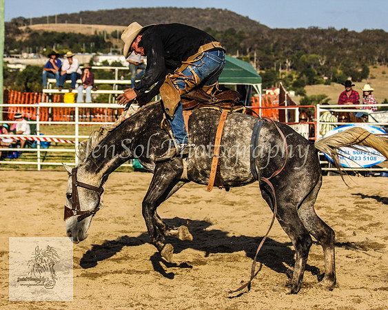 Goulburn 518