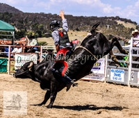 Goulburn 187