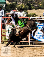 Goulburn 193