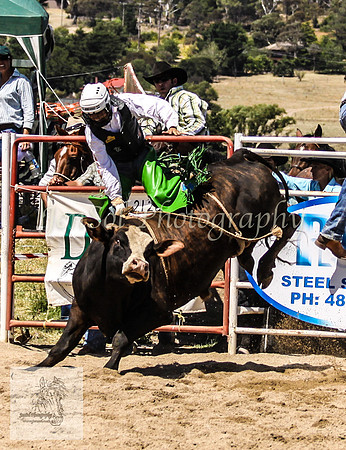 Goulburn 193
