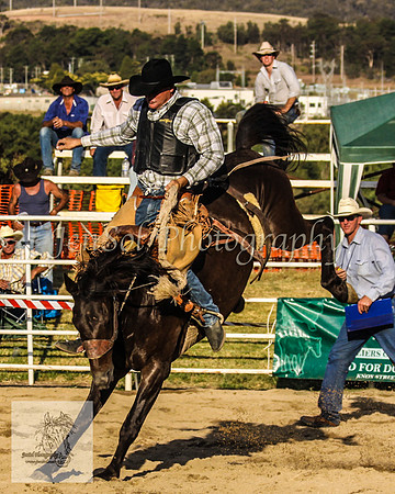 Goulburn 512