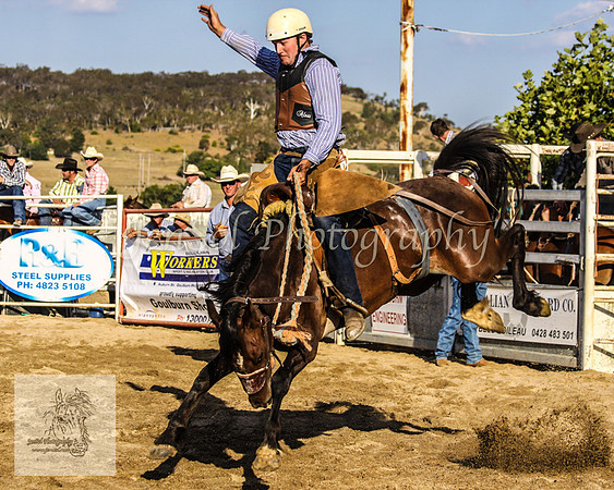 Goulburn 445