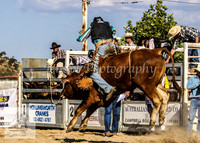 Goulburn 334