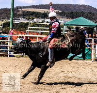 Goulburn 206
