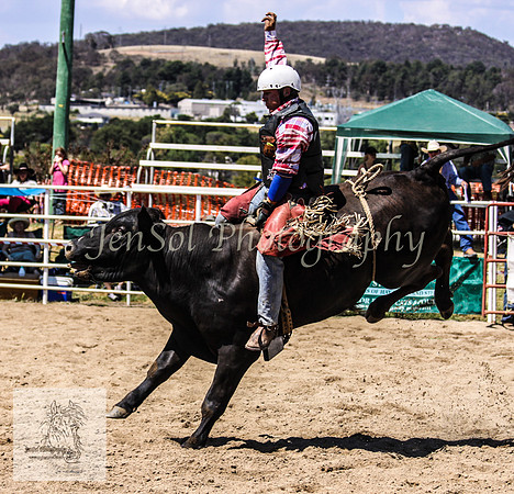 Goulburn 206