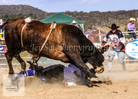 Goulburn 332