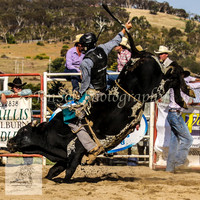 Goulburn 386