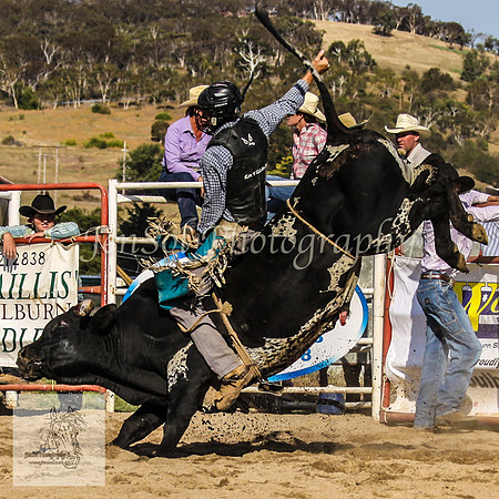 Goulburn 386