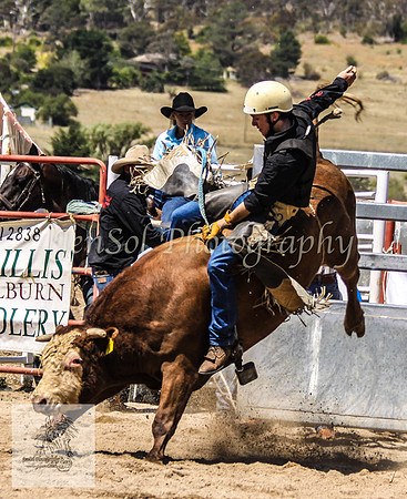 Goulburn 172