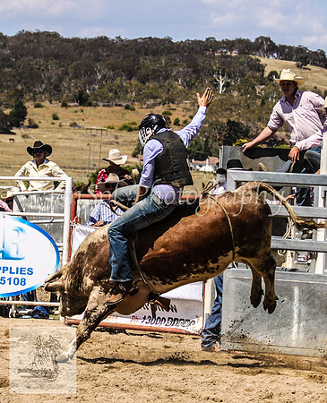 Goulburn 199