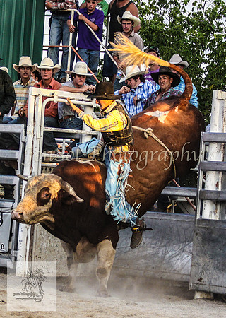 Goulburn 668