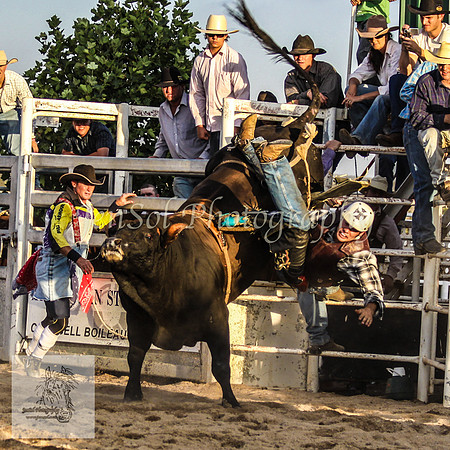 Goulburn 623