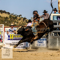 Goulburn 317