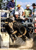 Goulburn 351