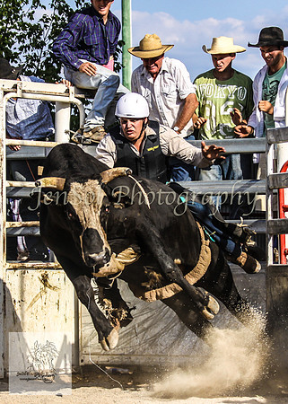 Goulburn 351