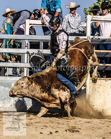 Goulburn 389