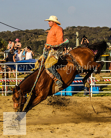 Goulburn 524