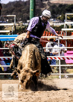 Rough Stock