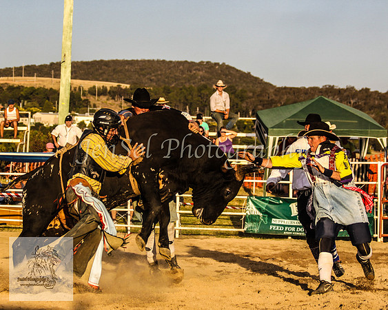 Goulburn 606