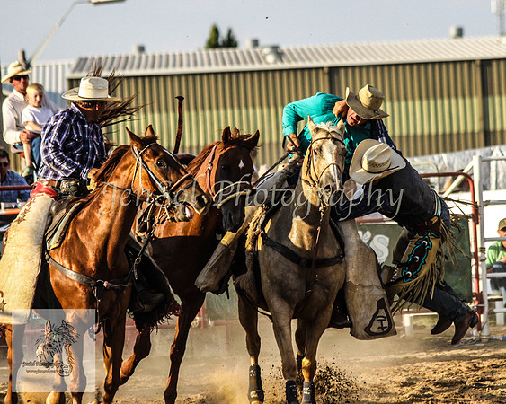Goulburn 563