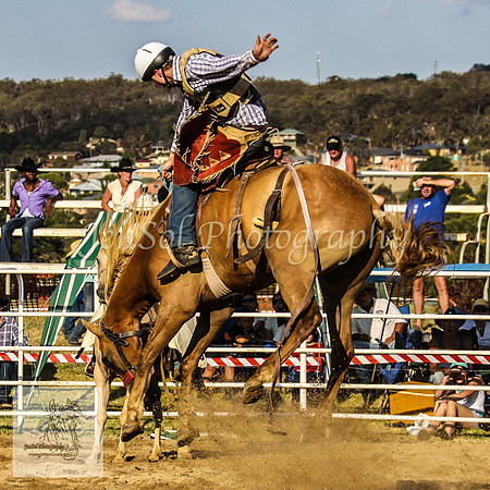 Goulburn 438