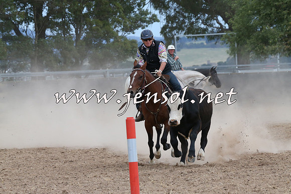 BraidwoodCampdraft2014_1467