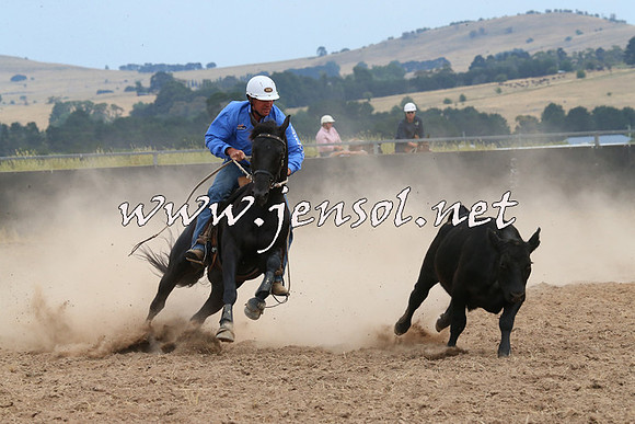 BraidwoodCampdraft2014_1406