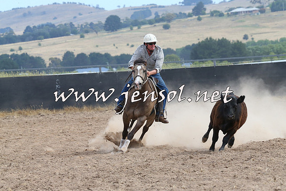 BraidwoodCampdraft2014_1546