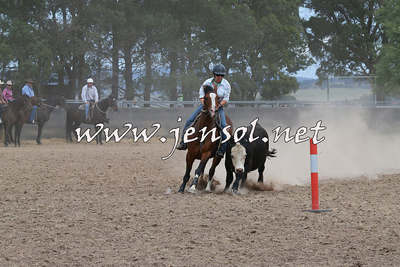 BraidwoodCampdraft2014_1388