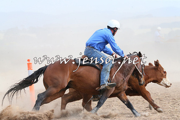 BraidwoodCampdraft2014_1599
