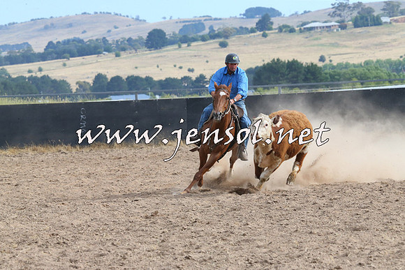 BraidwoodCampdraft2014_1627