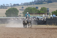 BraidwoodCampdraft2014_1347