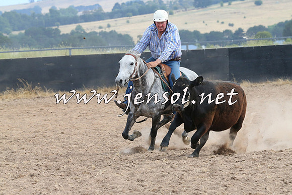 BraidwoodCampdraft2014_1581