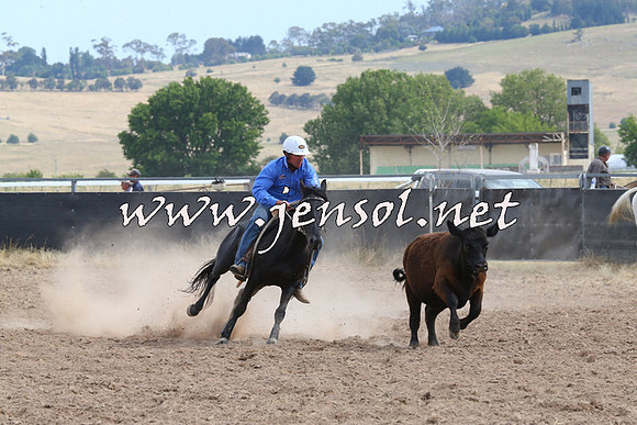 BraidwoodCampdraft2014_1519
