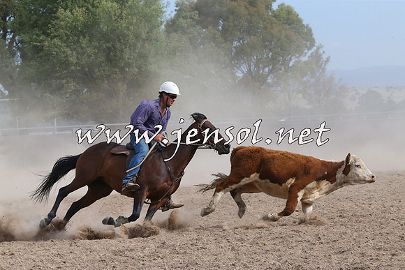 BraidwoodCampdraft2014_1617