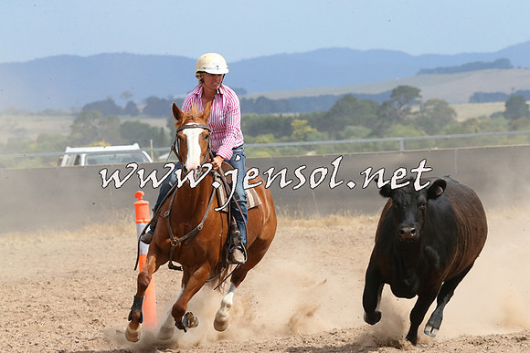 BraidwoodCampdraft2014_1505