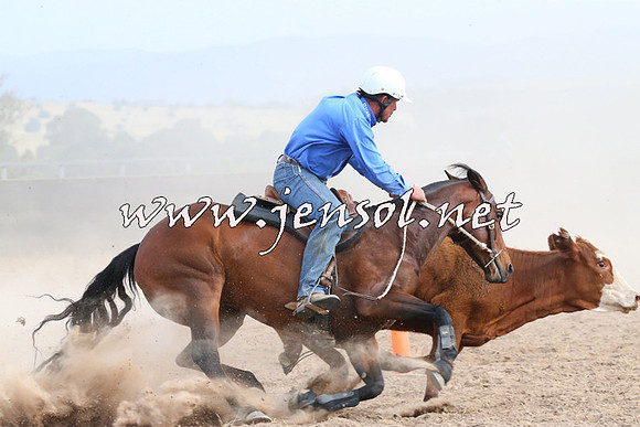 BraidwoodCampdraft2014_1597