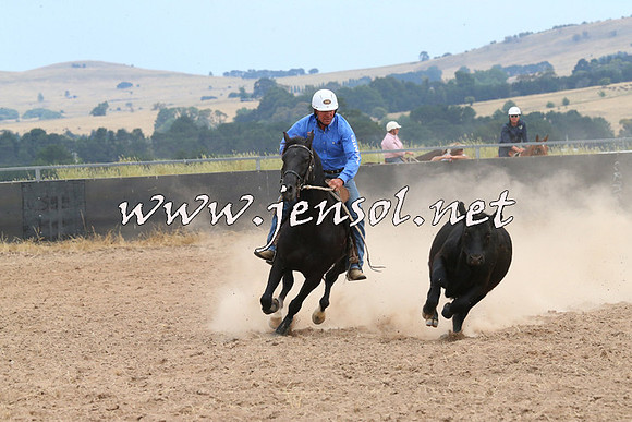 BraidwoodCampdraft2014_1407