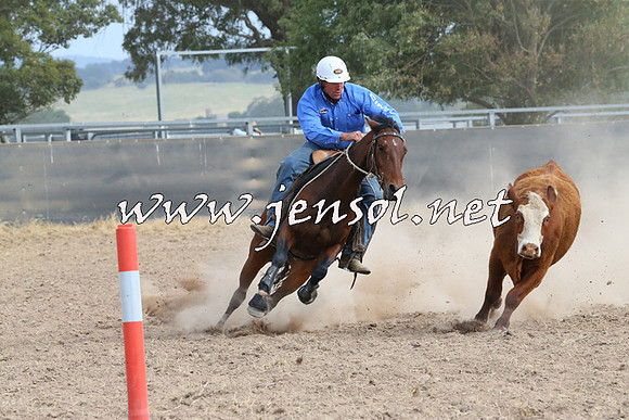 BraidwoodCampdraft2014_1601