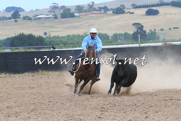 BraidwoodCampdraft2014_1433