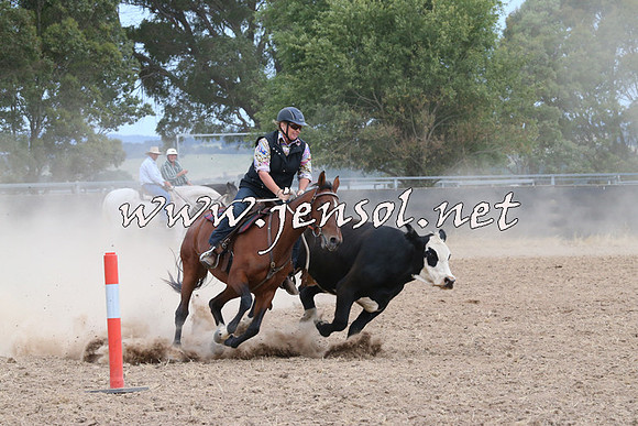 BraidwoodCampdraft2014_1471