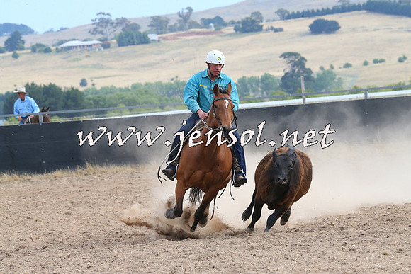 BraidwoodCampdraft2014_1568